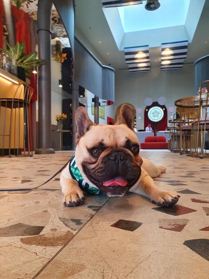 Hotel Grand Koper Luaran gambar